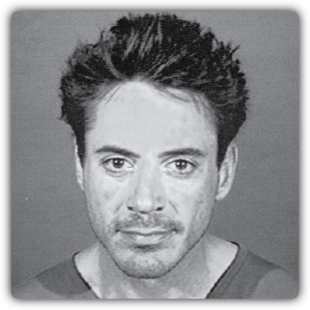 Robert Downey Jr Mugshot Sticker