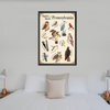 Pennsylvania Native Birds Poster