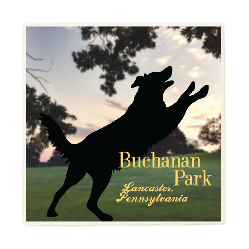 Buchanan Dog Park Coaster || Iconic Lancaster County Locations