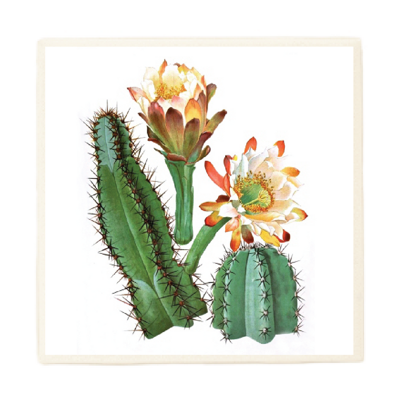 Cereus Cacti Plant Coaster