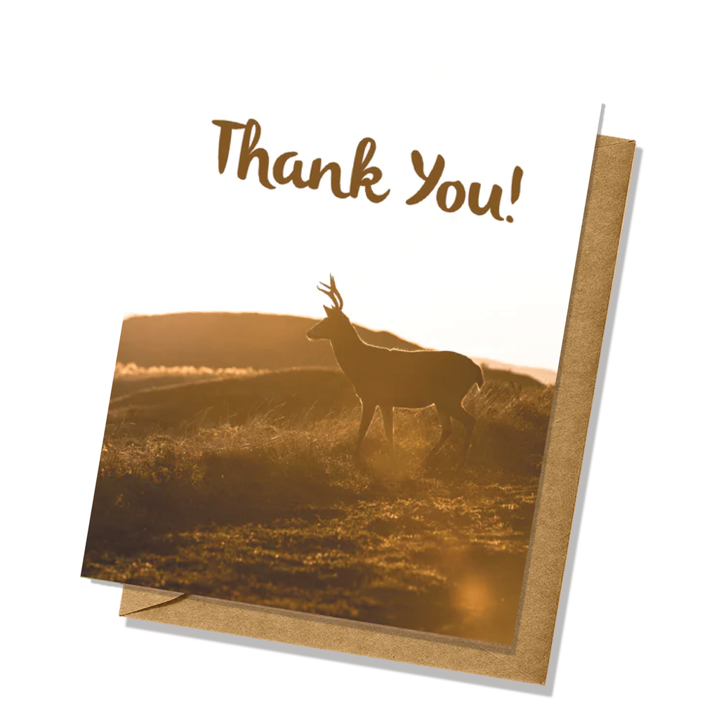Deer Outdoor Photo Thank You Card