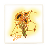 Leo Zodiac Flower Coaster