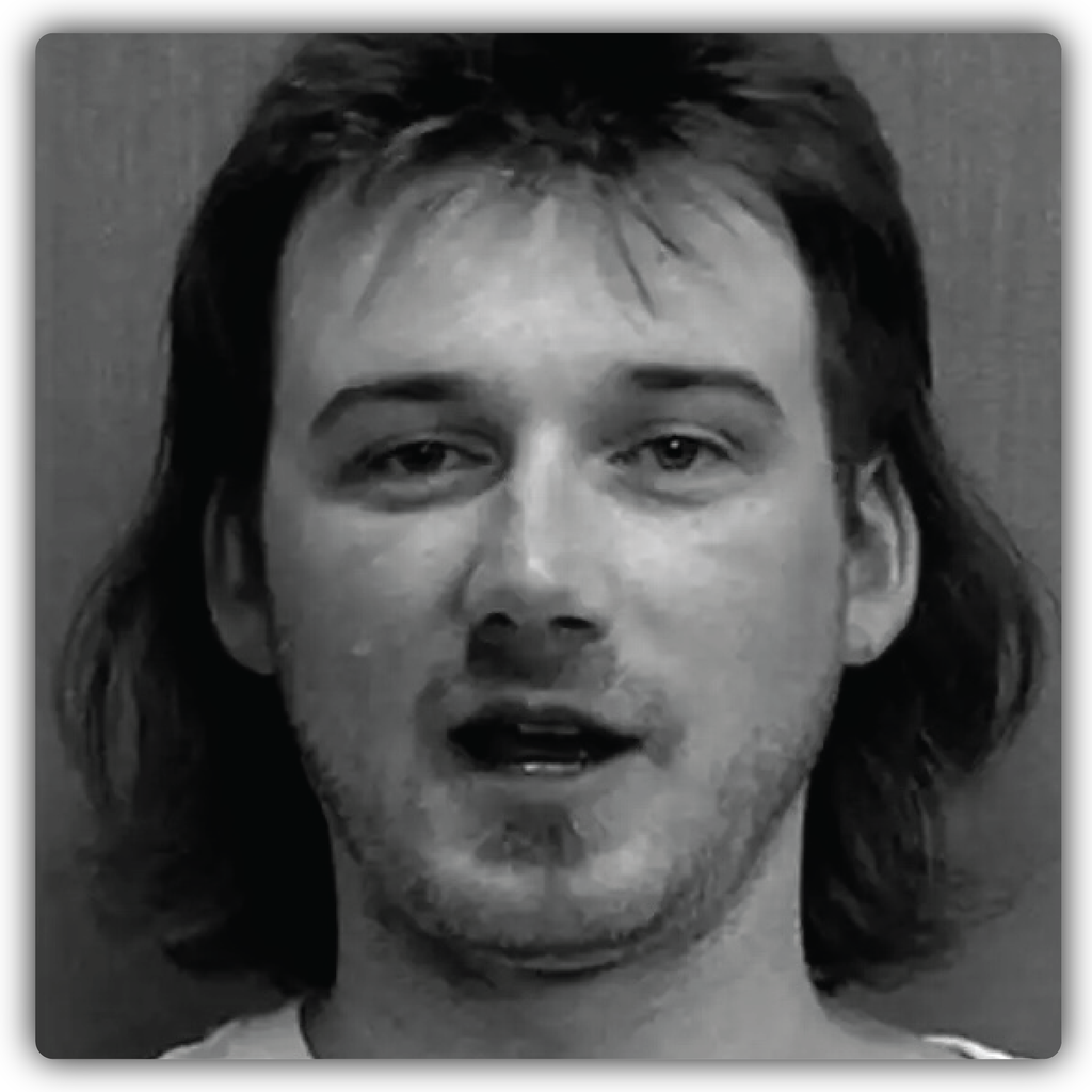 Morgan Wallen Mugshot Sticker