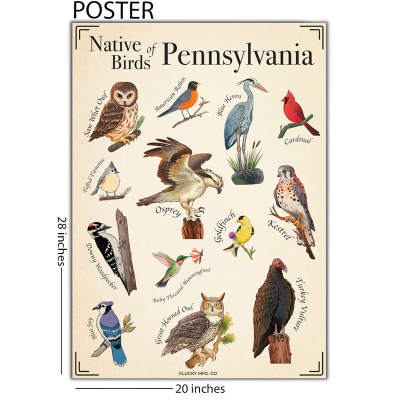 Pennsylvania Native Birds Poster