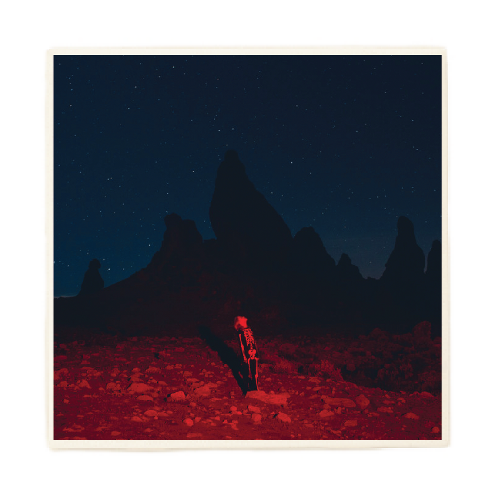 Phoebe Bridgers "Punisher" Album Coaster