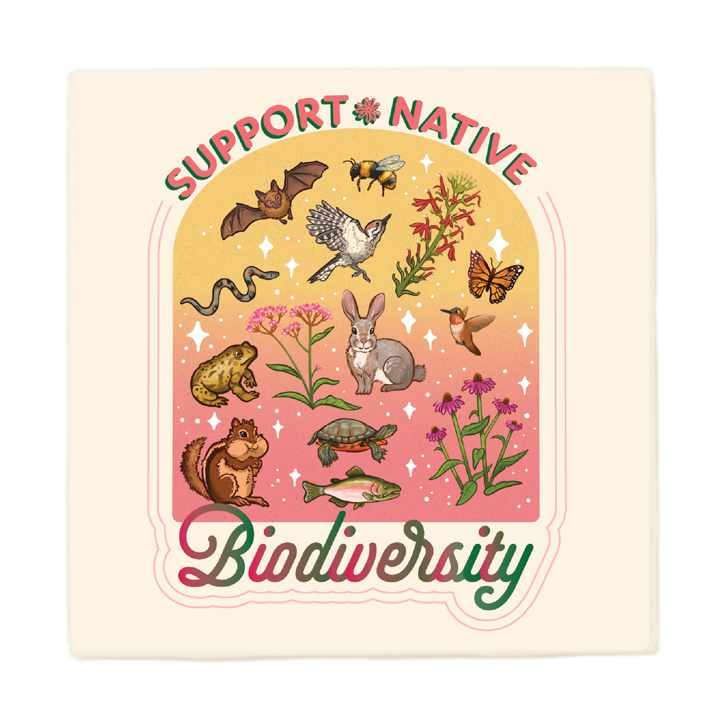 Support Native Biodiversity Coaster