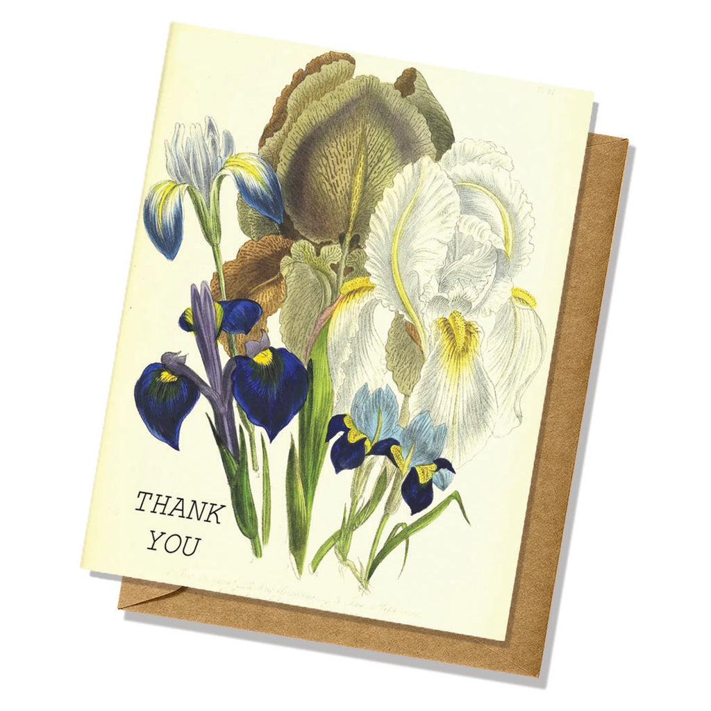 Vintage Blue Flowers Thank You Card