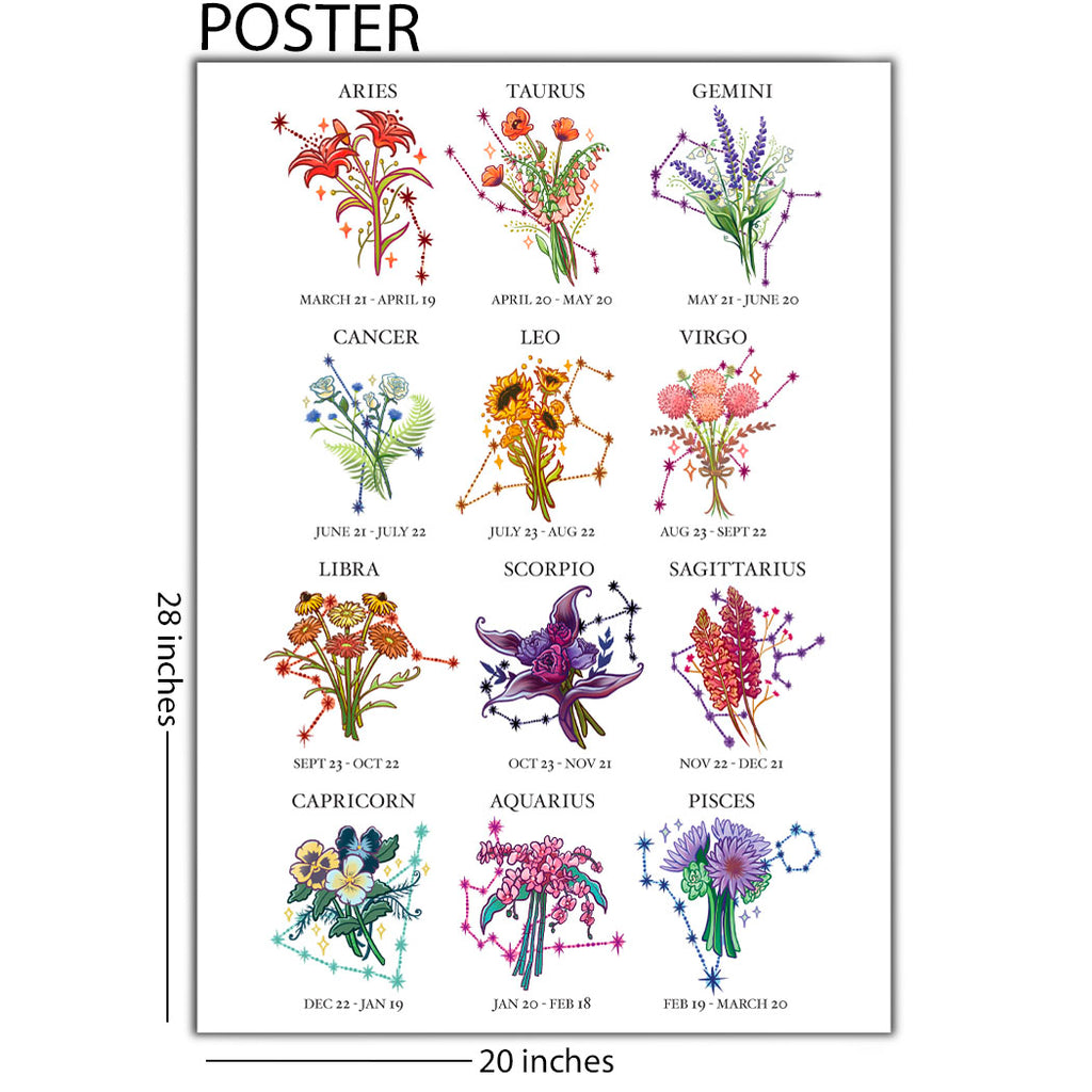 Flowers of the Zodiac Illustrated 20 x 28 Poster
