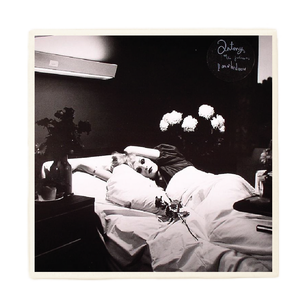 Antony and the Johnsons 'I am a Bird Now' Album Coaster