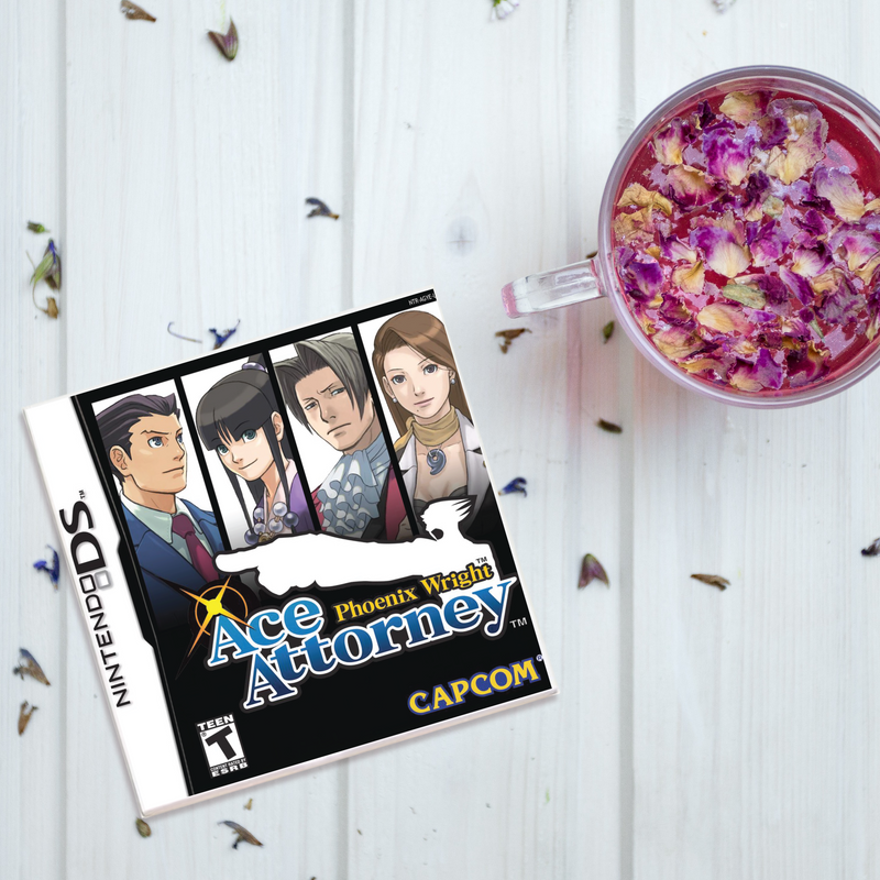 Ace Attorney Video Game Coaster