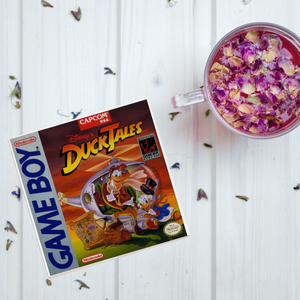 Duck Tales Video Game Coaster