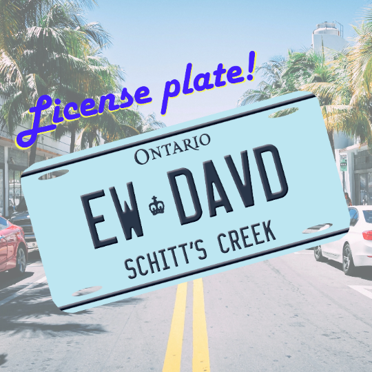 Ew, David Schitt's Creek License Plate