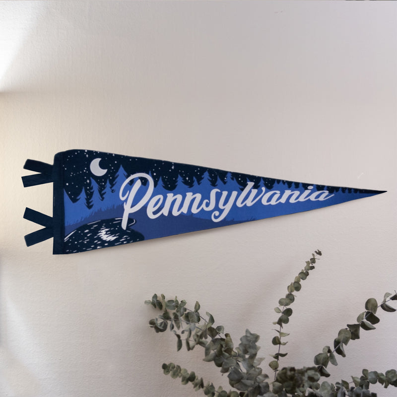 Lancaster, Pa Moonlit Lake Forest Original Hand-Illustrated Pennant || Nature || Moon ||
