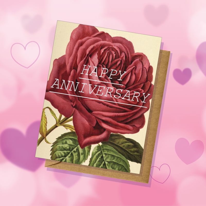 Rose Happy Anniversary Greeting Card