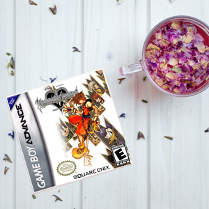 Kingdom Hearts Chain of Memories Video Game Coaster