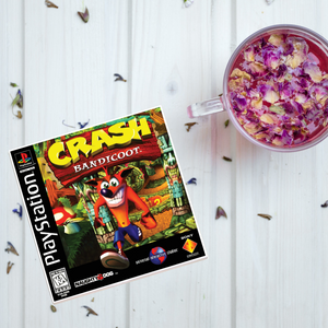 Crash Bandicoot Video Game Coaster
