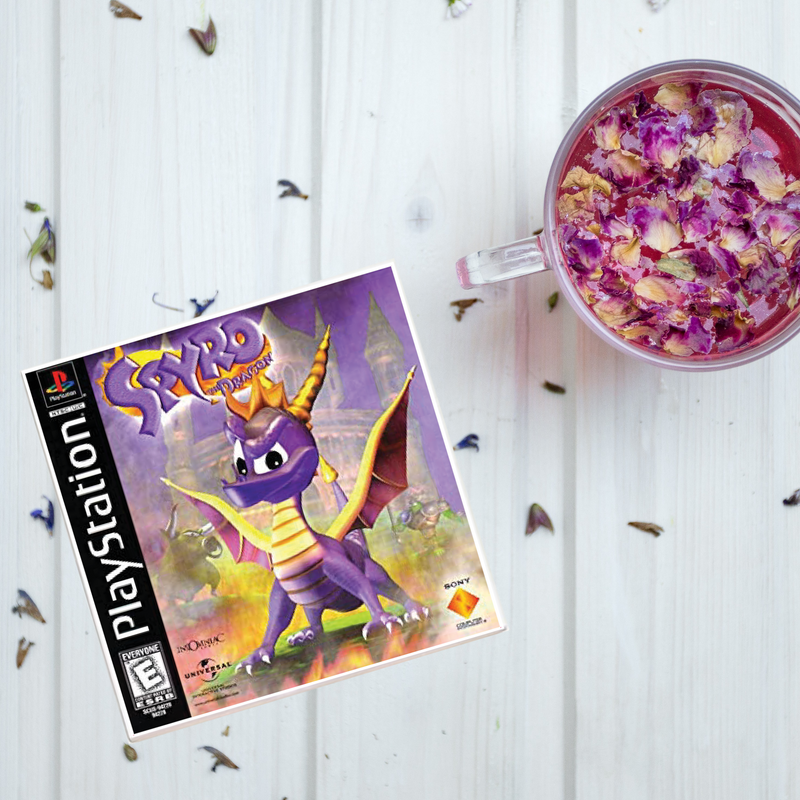 Spyro Video Game Coaster