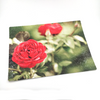 Rose Plant Puzzle Handmade 252 Pieces Small Batch Red Rose Love Botanical Garden Rainy Day Fun