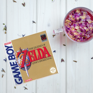 Legend of Zelda Link's Awakening Video Game Coaster