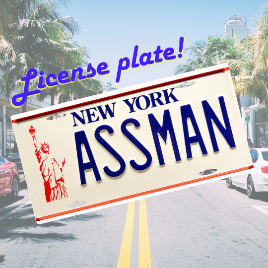 ASSMAN License Plate