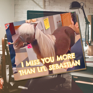 Li'l Sebastian Greeting Card Parks and Rec Friendship Miss You Comedy Sitcom Pawnee