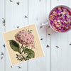 Pink Hydrangea Plant Coaster
