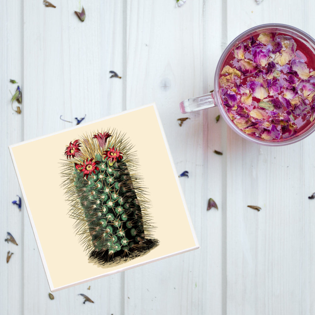 Prickly Cactus with Flowers Plant Coaster