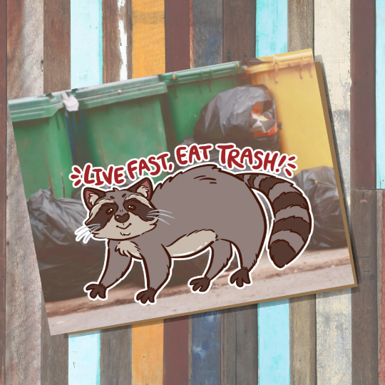 Live Fast Eat Trash Greeting Card Raccoon Trash Panda Cute Nature All Purpose Card Handmade