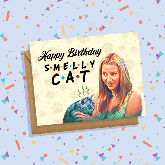 Smelly Cat Birthday Card Friends Phoebe Buffay Lisa Kudrow Crazy Cat Lady Funny Greeting Card 90s Silly Sitcom