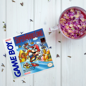 Super Mario Land Video Game Coaster